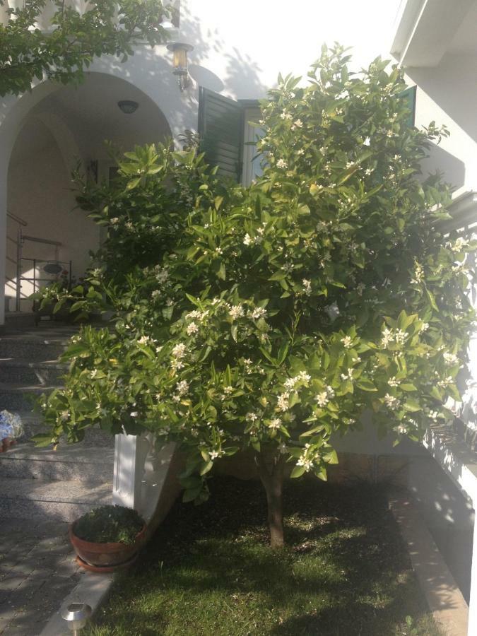 Apartmani Vukicevic Vodice Buitenkant foto